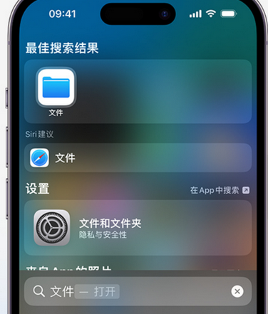 临泽apple维修中心分享iPhone文件应用中存储和找到下载文件 