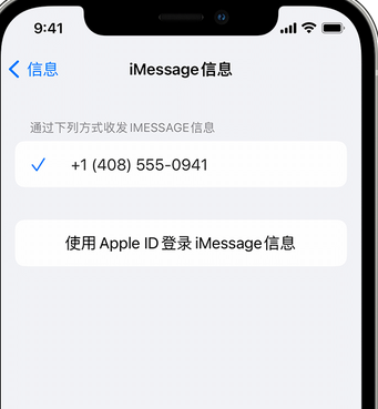 临泽apple维修iPhone上无法正常发送iMessage信息 