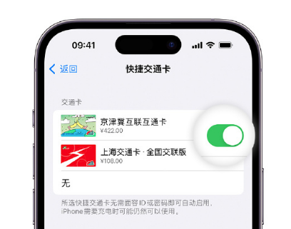 临泽apple维修点分享iPhone上更换Apple Pay快捷交通卡手绘卡面 