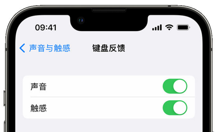 临泽苹果手机维修分享iPhone 14触感键盘使用方法 