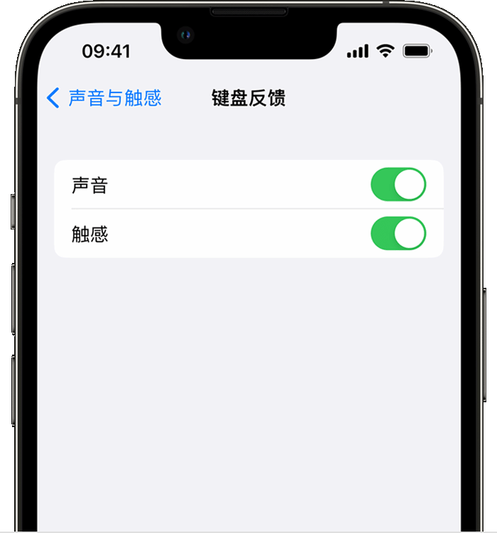 临泽苹果14维修店分享如何在 iPhone 14 机型中使用触感键盘 