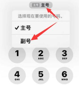 临泽苹果14维修店分享iPhone 14 Pro Max使用副卡打电话的方法 