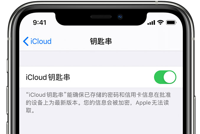 临泽苹果手机维修分享在 iPhone 上开启 iCloud 钥匙串之后会储存哪些信息 