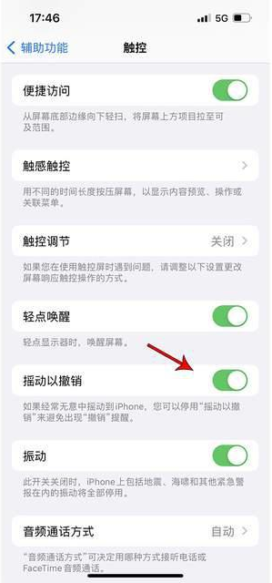 临泽苹果手机维修分享iPhone手机如何设置摇一摇删除文字 