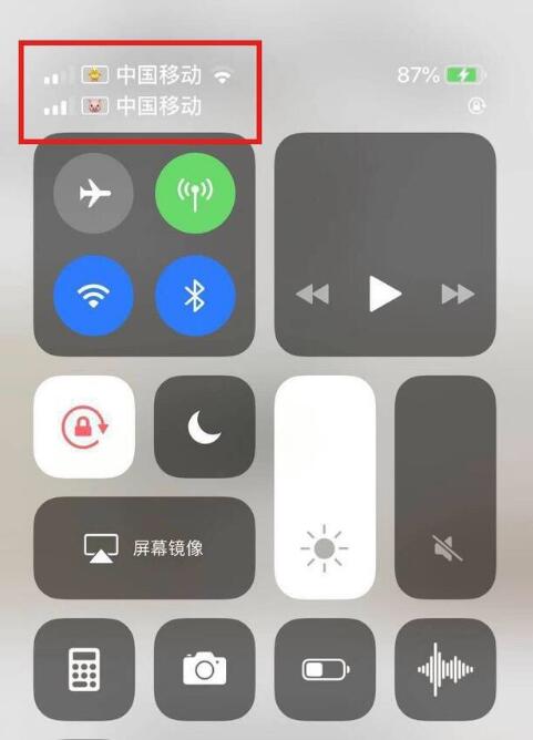 临泽苹果手机维修分享为 iPhone 12 双卡设置标签 
